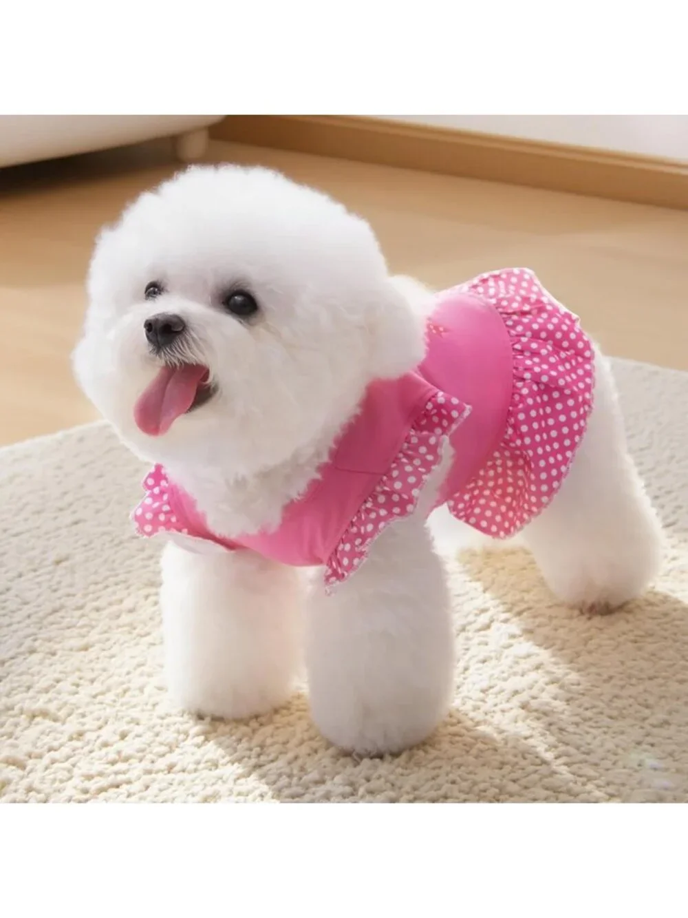 Cute Summer Dog Dress Set - 4 Pieces Pet Apparel for Small Dogs & Cats, X-Small